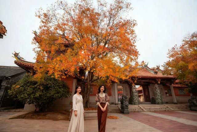 抓住秋天的尾巴 | 台儿庄古城秋色打卡指南，附私藏机位！