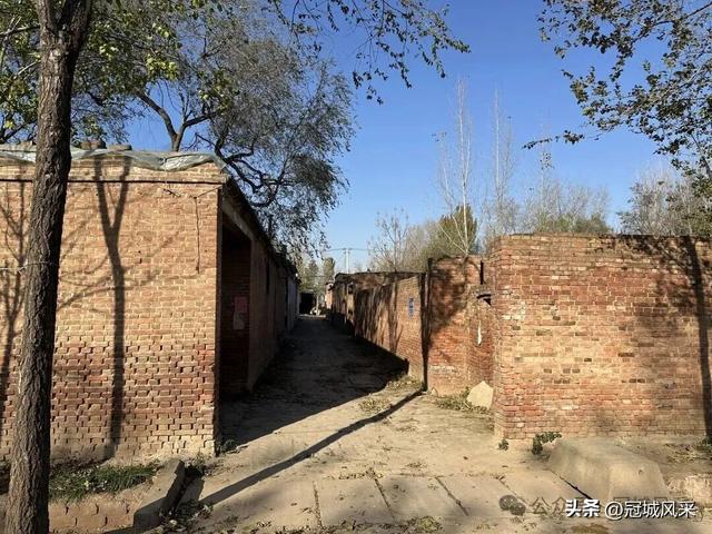 冠县乡韵·贾镇岑庄