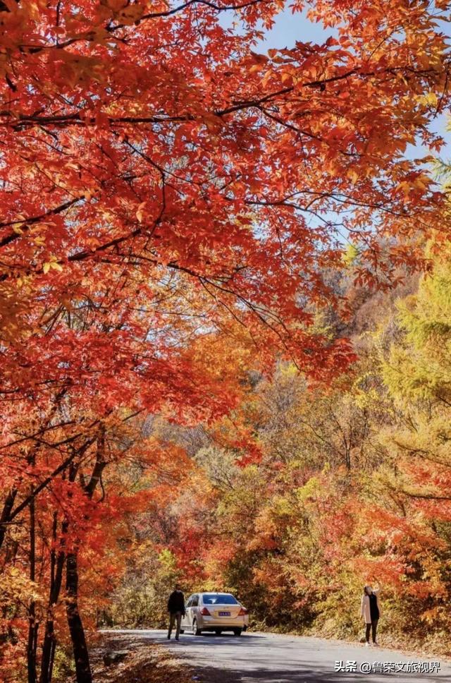 本溪：北国红枫深处的诗意秘境
