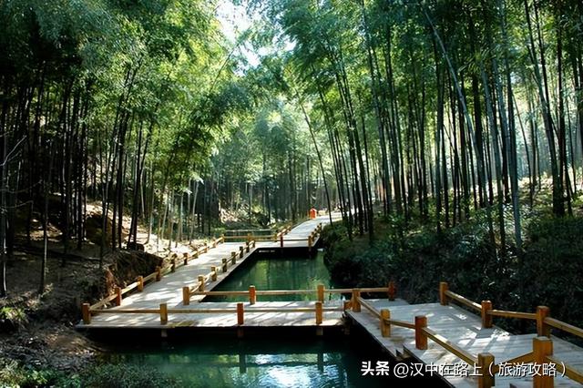 汉中镇巴元气之旅：邂逅浪漫，畅享自然