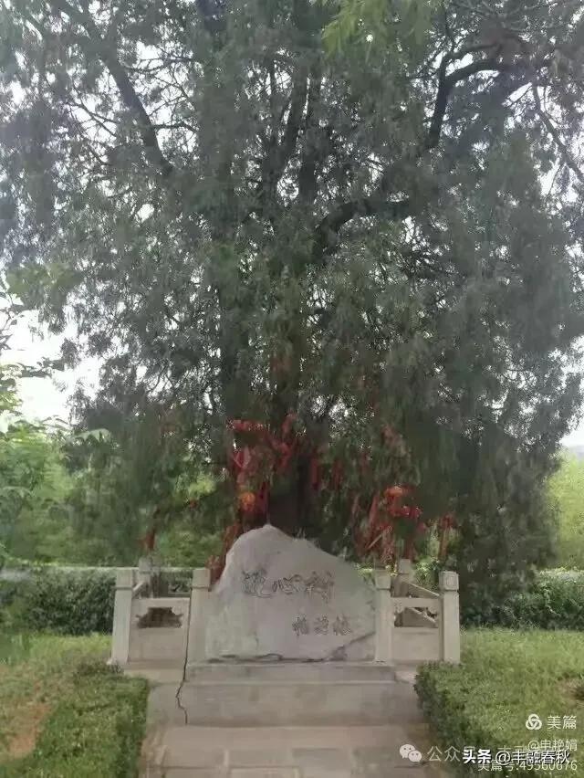 寻迹北京房山云居寺：穿越千年的信仰与时光｜申艳娟