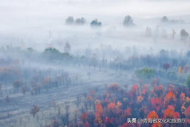 青海初冬:静谧藏诗意,温柔入画来