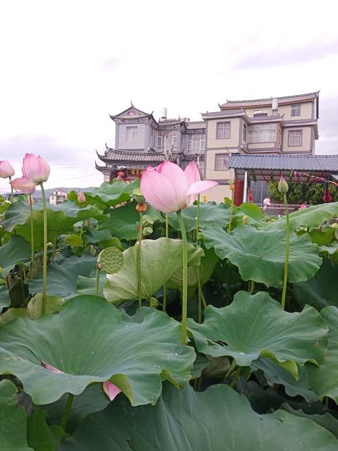 3大黄金期高龄舒适游法：抓住60~75岁黄金期，别等太晚！