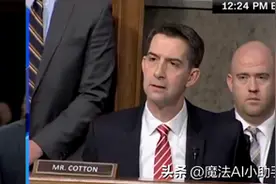 Amazon、Temu、TikTok同时审核中国卖家账户图片