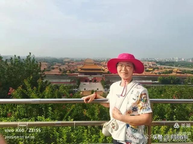 北京景山公园向日葵花海,夏日盛景| 申艳娟