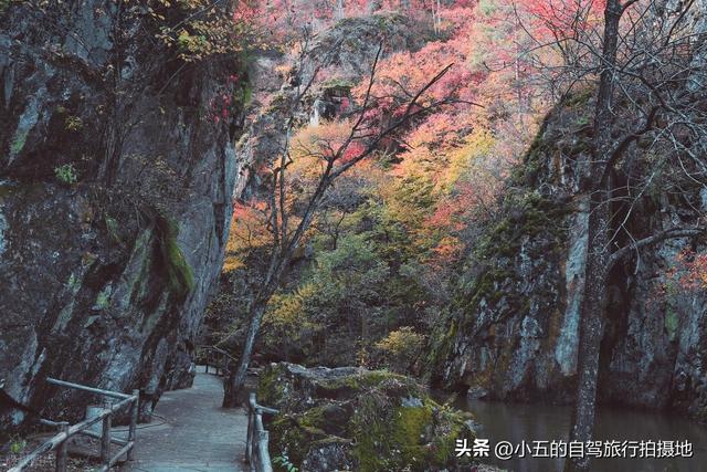 推荐5个夏天避暑圣地，哪个是你心目中的TOP1