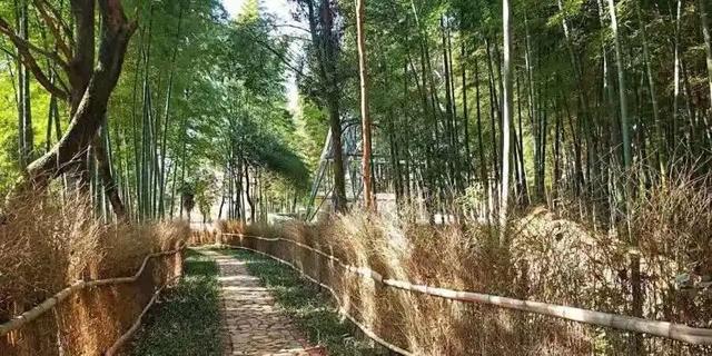 九江这几个有山有水的村子，氛围感拉满！