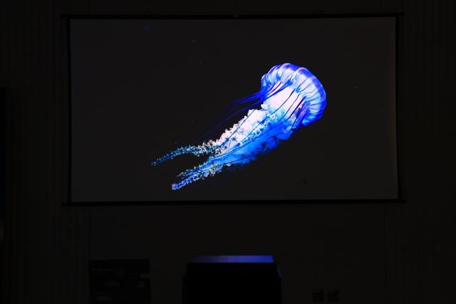 当贝S7 Ultra Max深度测评：重新定义家庭影院的“万元级天花板”