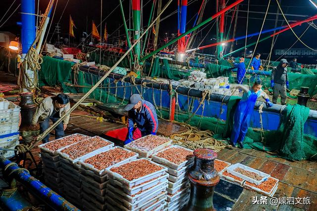 这才是嵊泗秋日最美画卷。嵊泗游子看了就想买票回岛！