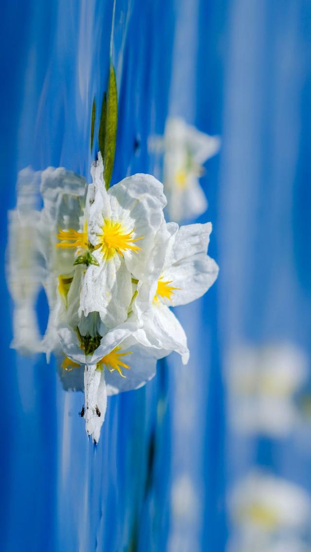 大理之蓝，蓝得让人心碎