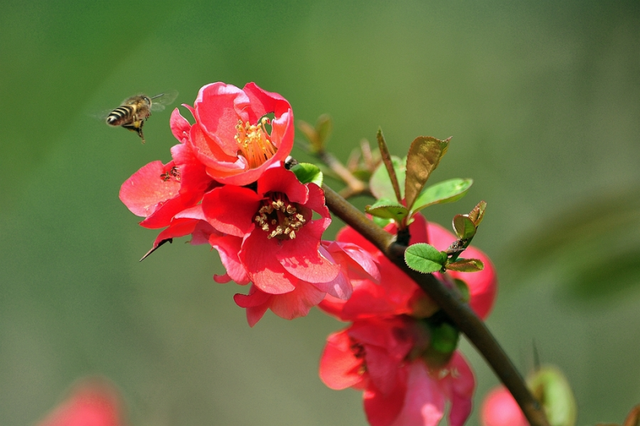 水上公园发布预告
