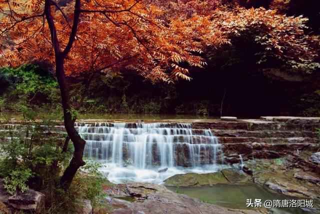 洛阳再上榜！跟着榜单游神都，最新攻略出炉！