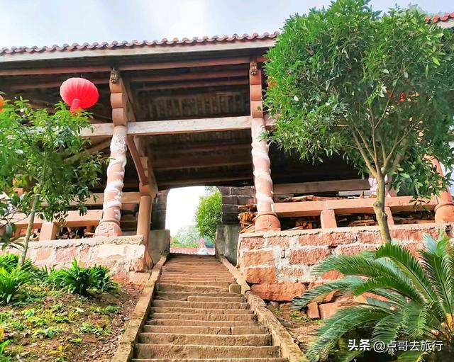 成都严重被低估的彩林徒步线路，1天轻松往返，山野壮观绚丽！