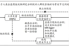欧洲人饮食偏好与骨关节炎发病风险的关系：人类全基因组关联研究数据分析图片