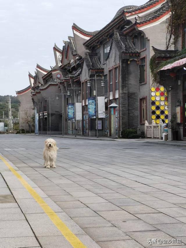 打卡屿头岛厝梁礁"一线天" 登上平潭岛 双龙连续第三年千里走双骑3