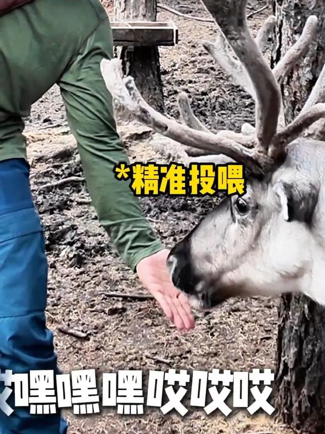 指南 | “李爸”涂松岩，竟在呼伦贝尔-58℃冷极偷偷干饭！