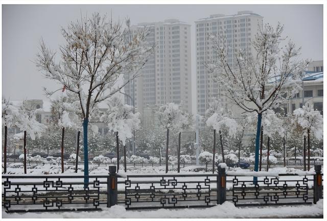 十月初雪至 左云入画来