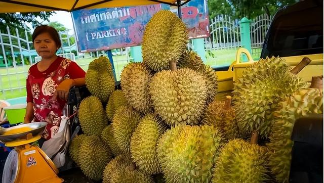 马科斯上演“大变脸”，当上东盟主席第一件事，就是向中方求合作