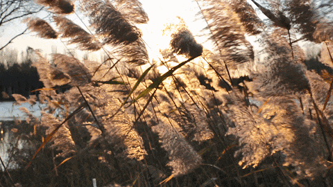 用电影的方式“打开”初冬！每一帧，都浪漫
