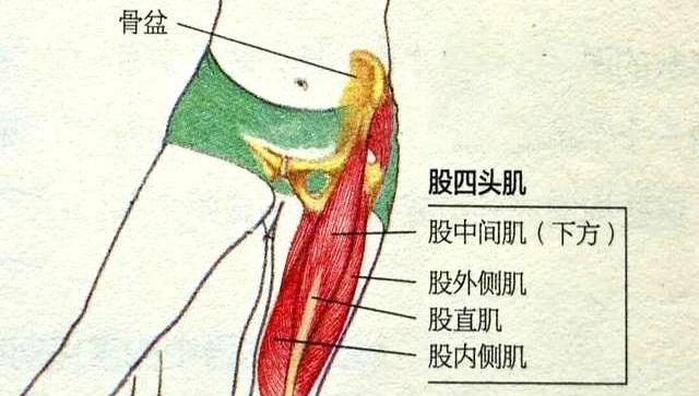 不是所有人都适合！今天起，金堂人跑步请调整一下！