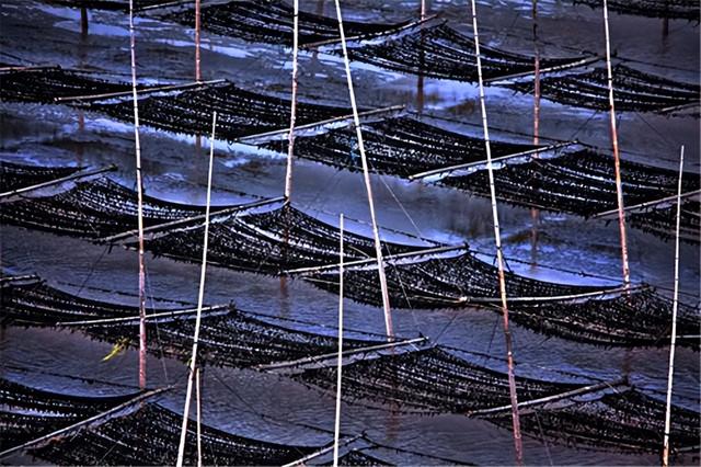 这是油画还是实景？太美太美啦！！