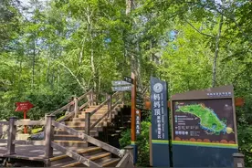 古风打卡+寄情山水+林区特色美食 母亲节，黑龙江省清河妈妈顶邀游客共赴亲情之约图片