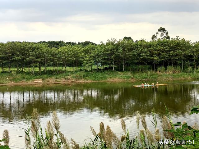南海金沙岛国家湿地公园