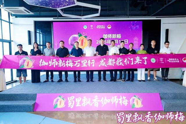 精彩回顾：2025中国新疆喀什·伽师新梅万里行宣传推介活动成都站、长沙站高光图集来啦！