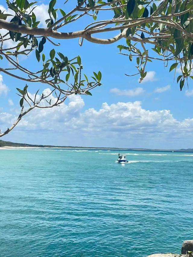 路上·布里斯班 ‖ 又出来赚小时来了