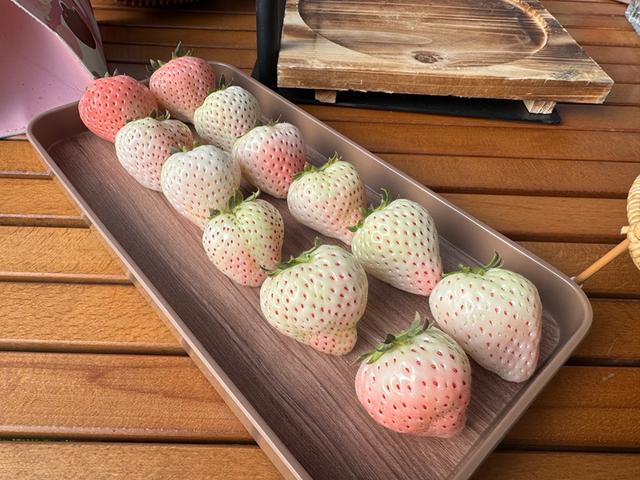 哈尔滨闫家岗农场“草莓仙子文化小镇”马上开业了