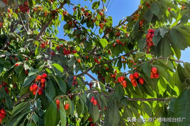 遇见·尖草坪丨不费家长、专治无聊，尖草坪这些地方娃娃们都玩疯了~