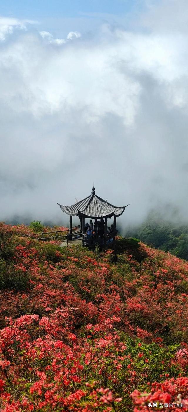 本想追晴天秋色，却在大围山遇雨，意外读懂“暮霭沉沉楚天阔”