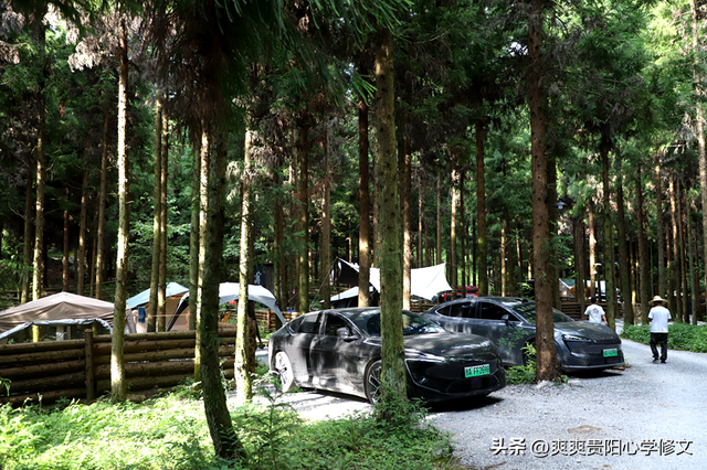 品咖啡、喝精酿、闻松香......在修文县山寻露营基地过一场20℃的慢生活