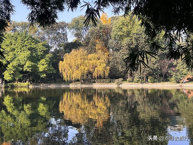 成都被私藏的彩林公园，流金溢彩，充满老城烟火气，地铁公交直达