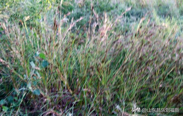 再一次穿过那条“密道”