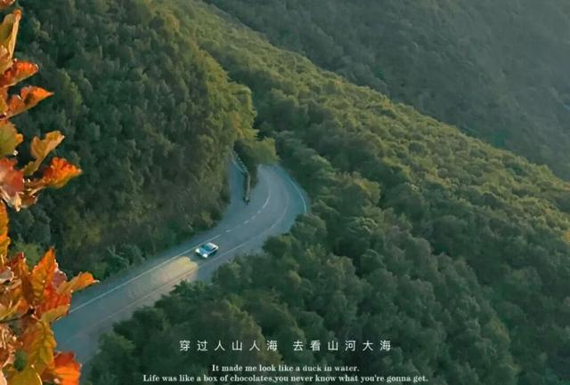 金普山色“杠杠好”，重阳攀登“步步高”