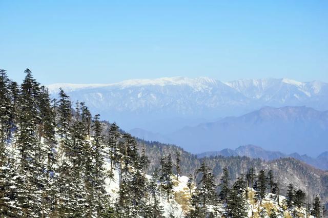汉中各大景区银装素裹！快来共赴2025年第一场冰雪之约 →