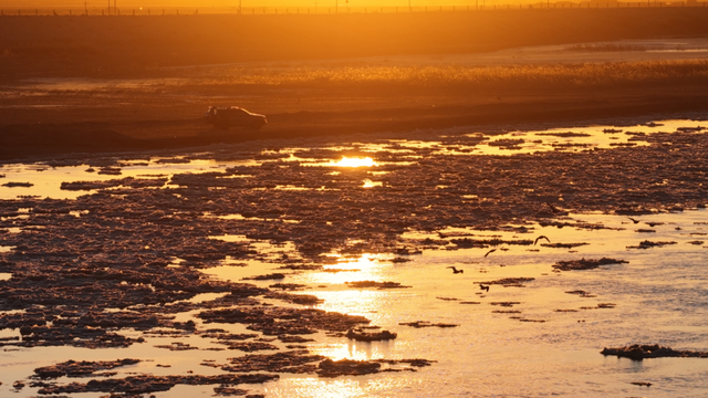 冬日奇观！落日流凌为黄河披上幻彩霓裳