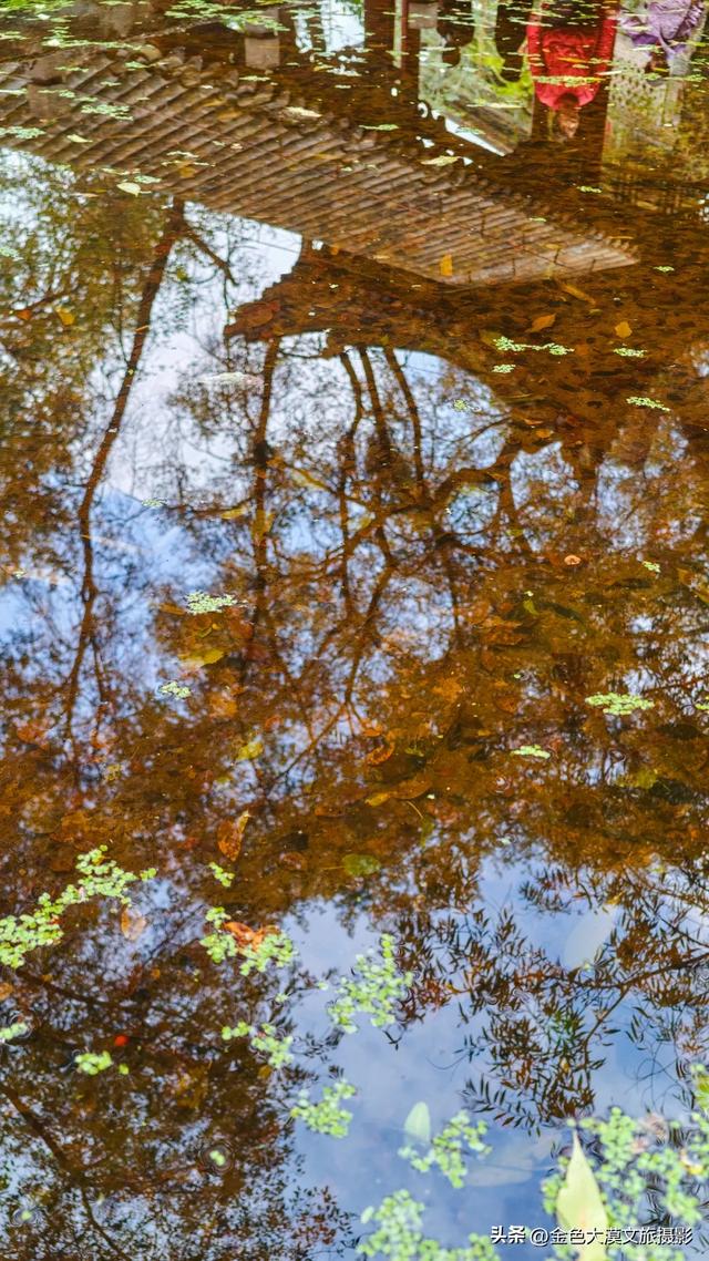 秋染五泉山：兰州城畔的千年诗意与一季斑斓​​