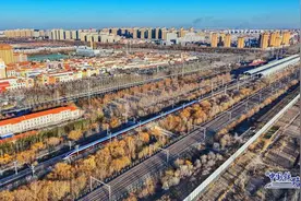 12306：将在这些区间，增开夜间高铁！图片