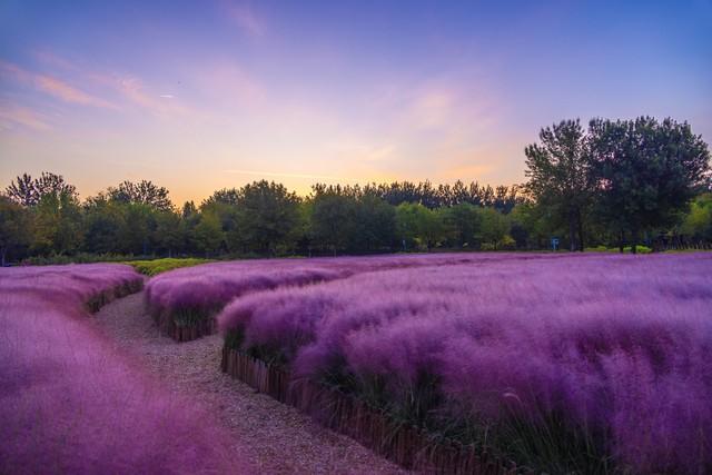 洛阳的秋天在这里封神！3条禅意路线，最后一条让摄影师舍不得走