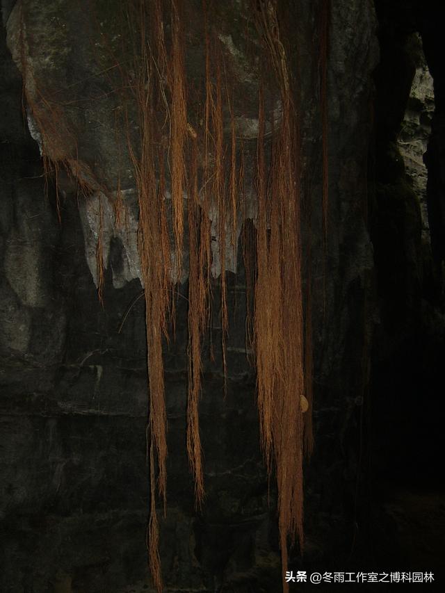 ［冬雨文缘］重游融安沙子石岩古寨燕子岩