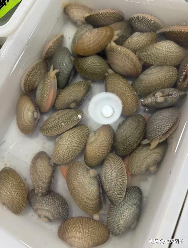 我是宁波人，去了趟三亚才懂：这地方火得根本藏不住！