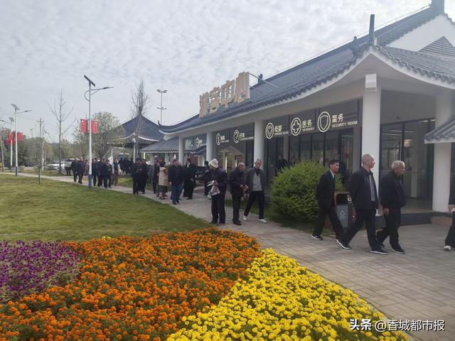 岁岁重阳，情暖湿地：千名退休老人的向阳湖秋日之约