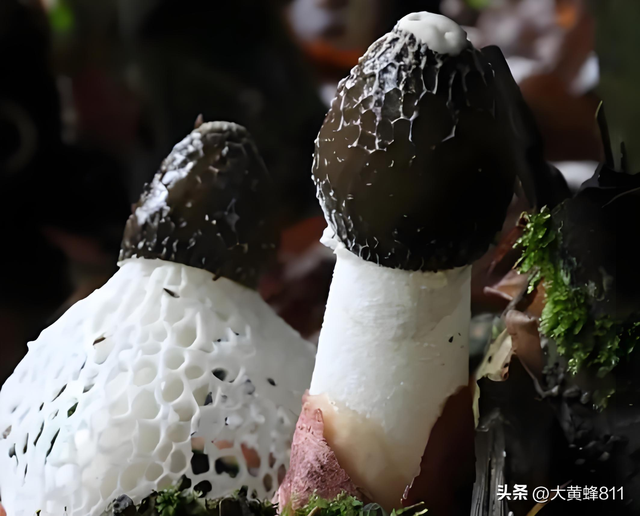 认识大美广东的每个县——第二波：仁化