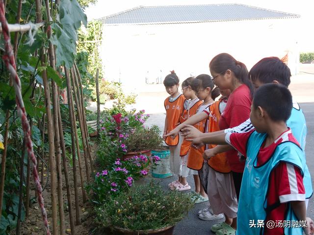 汤阴白营：南店村童伴之家“美丽的大自然”主题活动