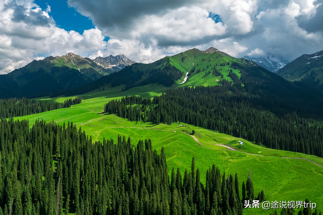 伊犁：中国西北的人间仙境，800公里风景长廊，藏着世间所有美好