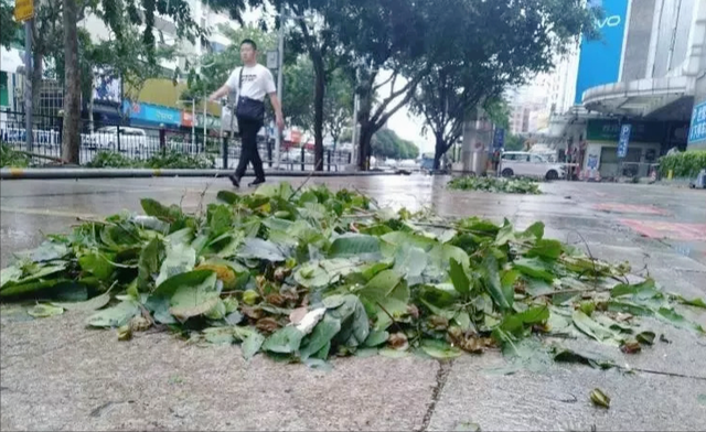 去了一趟惠州，被当地人素质惊到了！颠覆了我的三观！