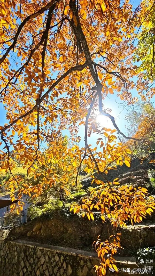 踏秋胜地,天脊龙门!浙江这个4A级景区已美成童话,等你来打卡