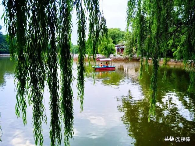 张克奇：寻梦老龙湾